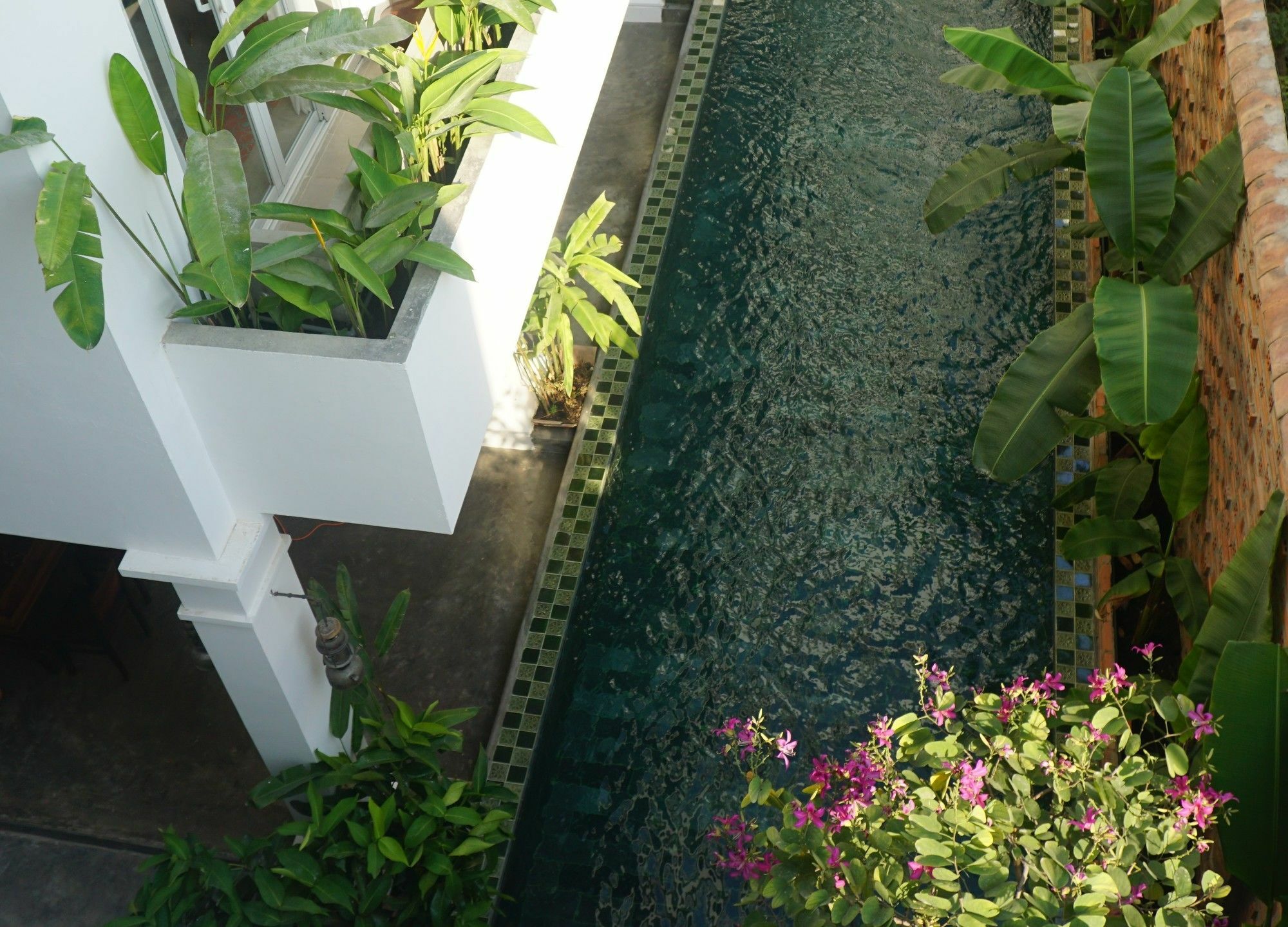 Iam Saigon Homestay Hô Chi Minh-Ville Extérieur photo
