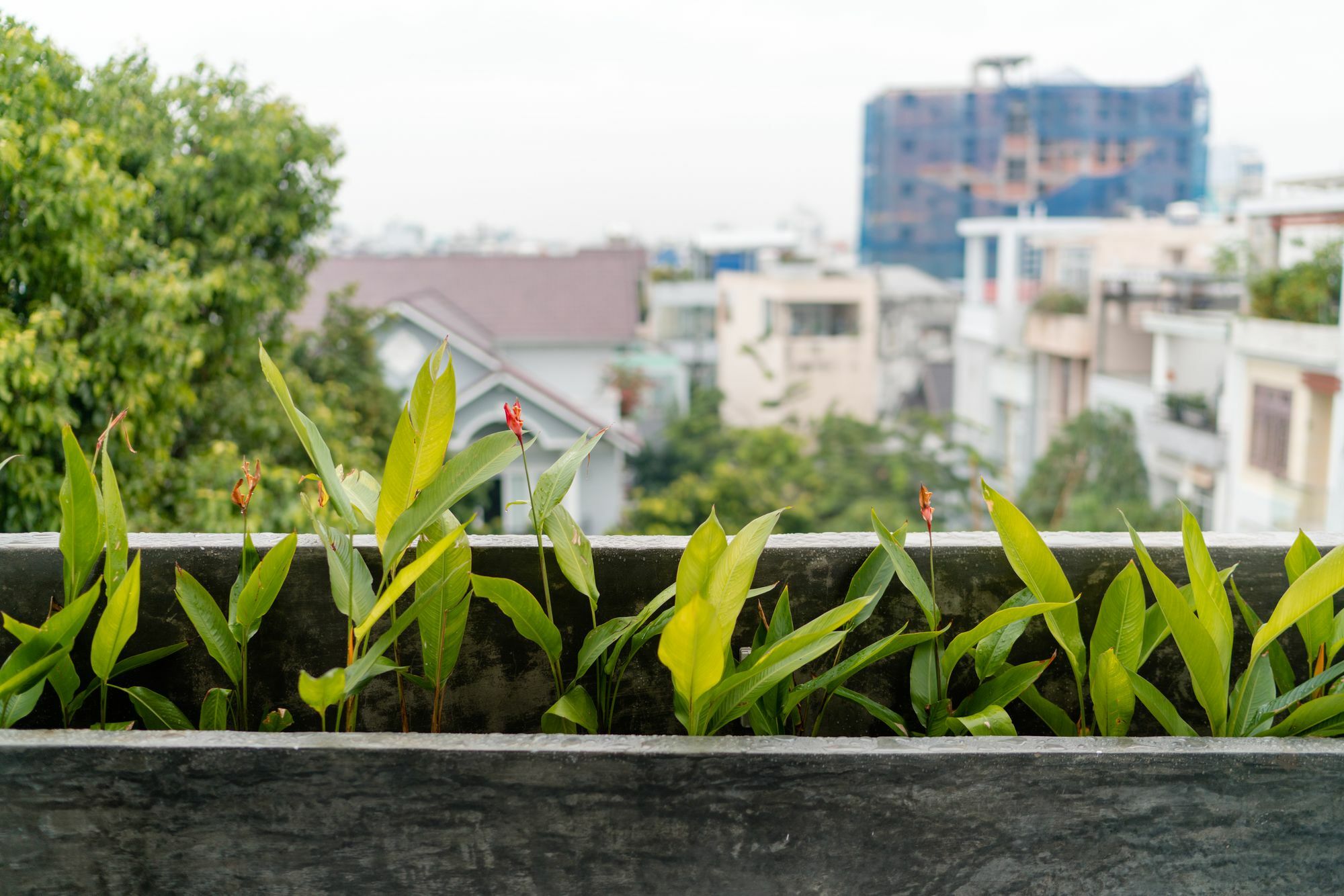 Iam Saigon Homestay Hô Chi Minh-Ville Extérieur photo